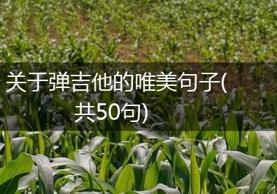 关于弹吉他的唯美句子(共50句)