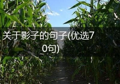 关于影子的句子(优选70句)