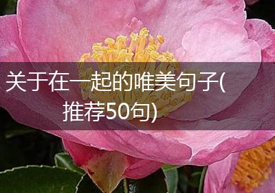 关于在一起的唯美句子(推荐50句)