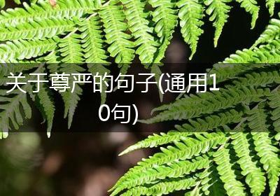 关于尊严的句子(通用10句)