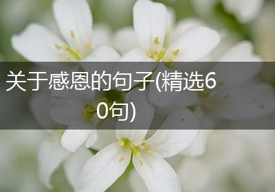 关于感恩的句子(精选60句)
