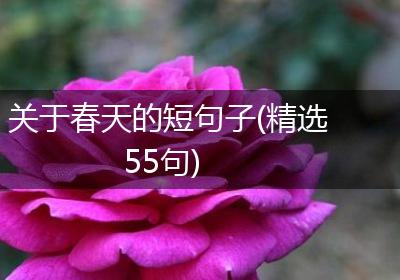 关于春天的短句子(精选55句)