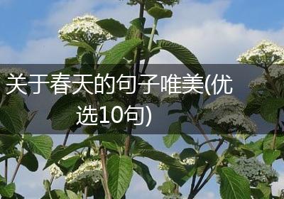 关于春天的句子唯美(优选10句)