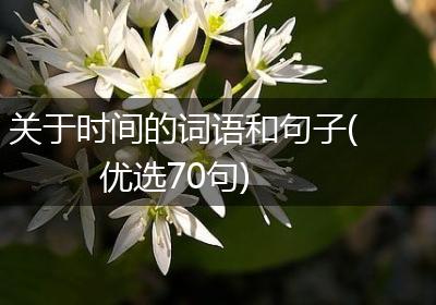 关于时间的词语和句子(优选70句)