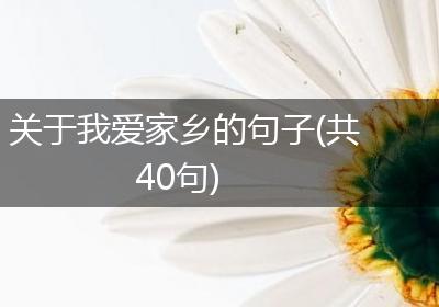 关于我爱家乡的句子(共40句)