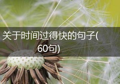 关于时间过得快的句子(60句)