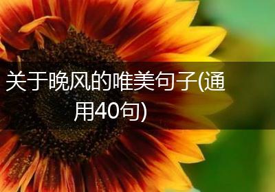 关于晚风的唯美句子(通用40句)