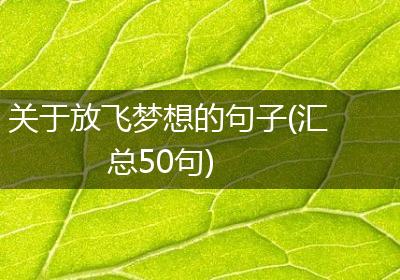关于放飞梦想的句子(汇总50句)