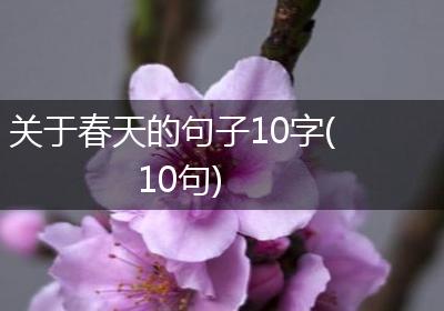 关于春天的句子10字(10句)