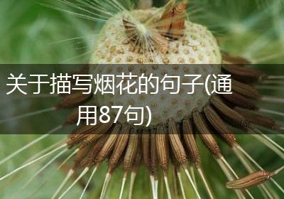 关于描写烟花的句子(通用87句)