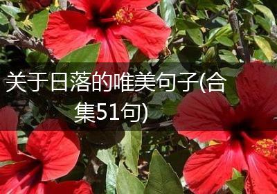 关于日落的唯美句子(合集51句)
