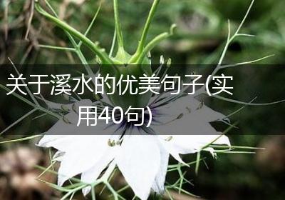 关于溪水的优美句子(实用40句)