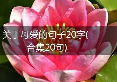 关于母爱的句子20字(合集20句)