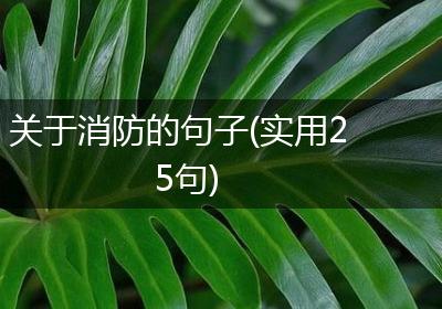 关于消防的句子(实用25句)
