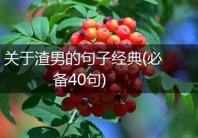 关于渣男的句子经典(必备40句)