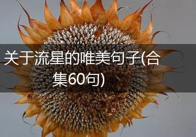 关于流星的唯美句子(合集60句)