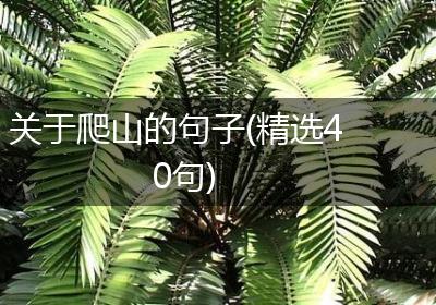 关于爬山的句子(精选40句)