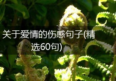 关于爱情的伤感句子(精选60句)