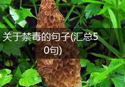 关于禁毒的句子(汇总50句)