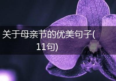 关于母亲节的优美句子(11句)