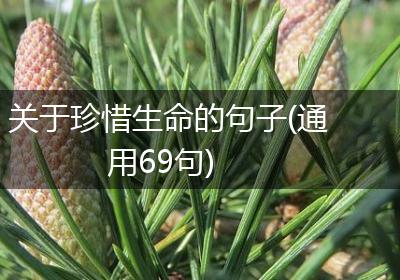 关于珍惜生命的句子(通用69句)