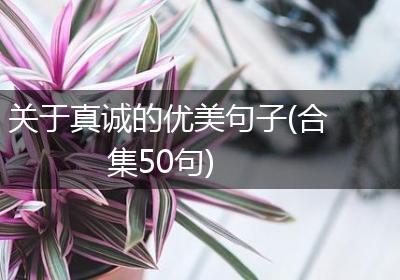 关于真诚的优美句子(合集50句)