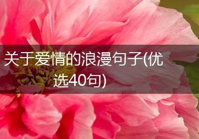 关于爱情的浪漫句子(优选40句)