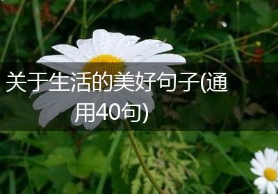 关于生活的美好句子(通用40句)