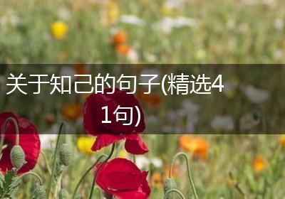 关于知己的句子(精选41句)