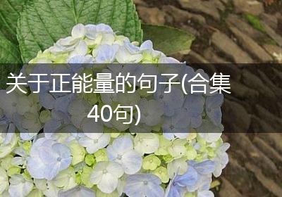 关于正能量的句子(合集40句)