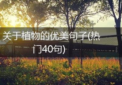 关于植物的优美句子(热门40句)