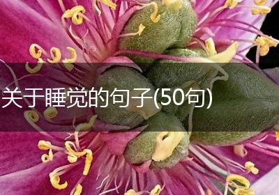 关于睡觉的句子(50句)