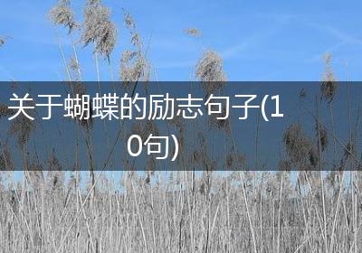 关于蝴蝶的励志句子(10句)