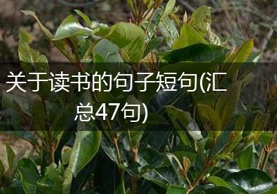 关于读书的句子短句(汇总47句)