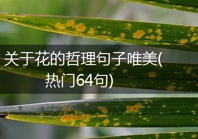 关于花的哲理句子唯美(热门64句)