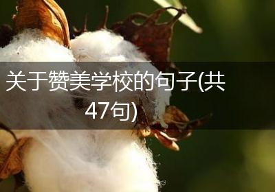 关于赞美学校的句子(共47句)