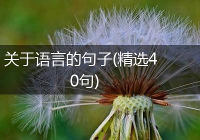 关于语言的句子(精选40句)