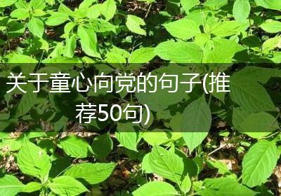 关于童心向党的句子(推荐50句)