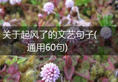 关于起风了的文艺句子(通用60句)
