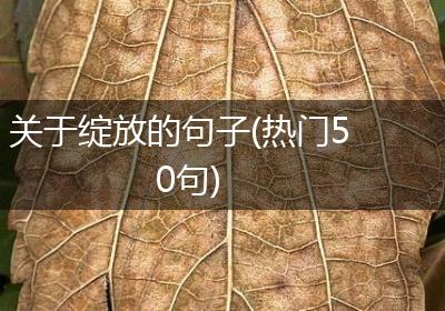 关于绽放的句子(热门50句)