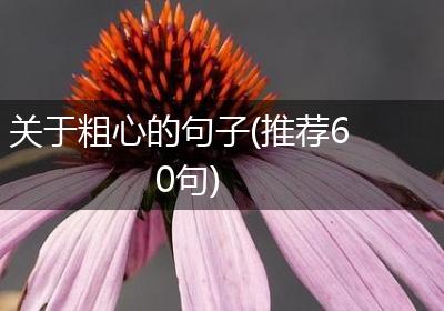 关于粗心的句子(推荐60句)