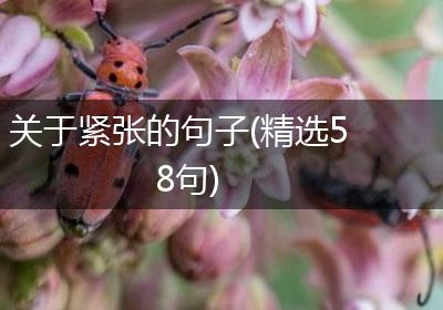 关于紧张的句子(精选58句)