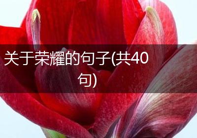 关于荣耀的句子(共40句)