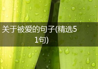 关于被爱的句子(精选51句)