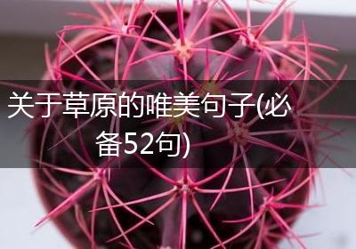 关于草原的唯美句子(必备52句)