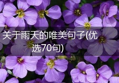 关于雨天的唯美句子(优选70句)