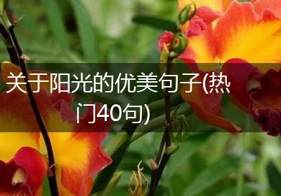 关于阳光的优美句子(热门40句)