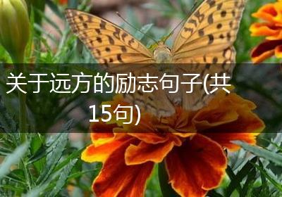 关于远方的励志句子(共15句)
