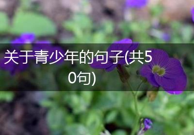 关于青少年的句子(共50句)