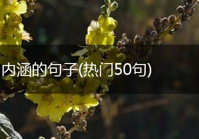 内涵的句子(热门50句)